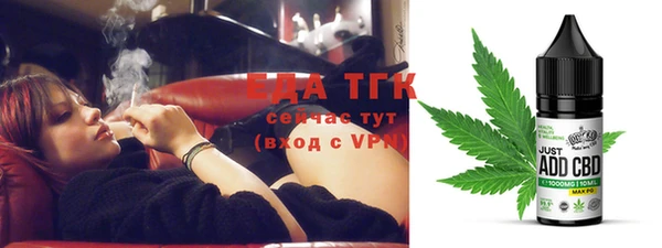 хмурый Абаза