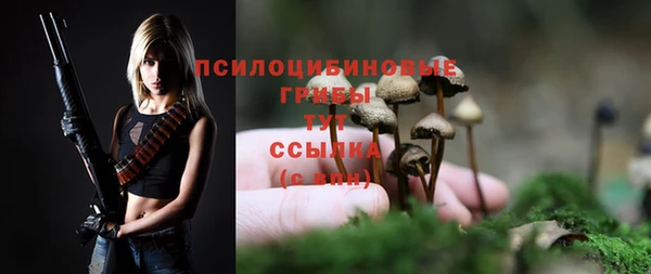 хмурый Абаза