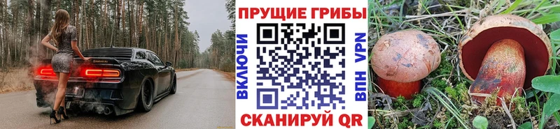 купить закладку omg как зайти Псилоцибиновые грибы ЛСД Гусь-Хрустальный